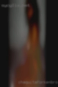 Chaquitaforkenbrock Salisbury