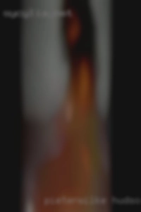 pieterWilke Hudson NH