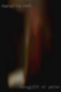 Tonyg153 St Petersburg